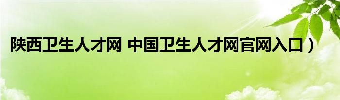 陕西卫生人才网 中国卫生人才网官网入口）