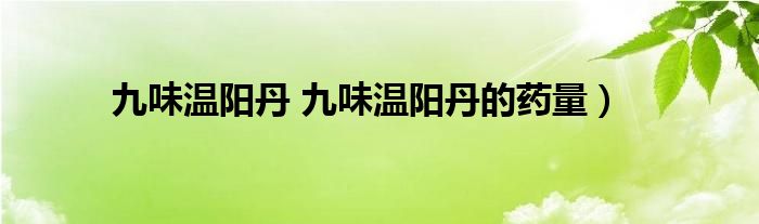 九味温阳丹 九味温阳丹的药量）