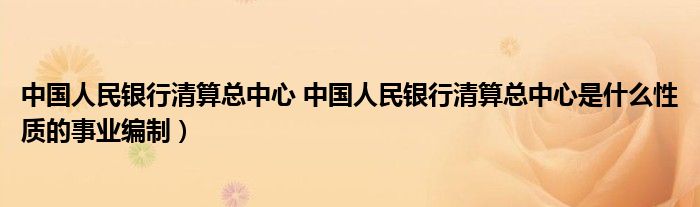 中国人民银行清算总中心 中国人民银行清算总中心是什么性质的事业编制）