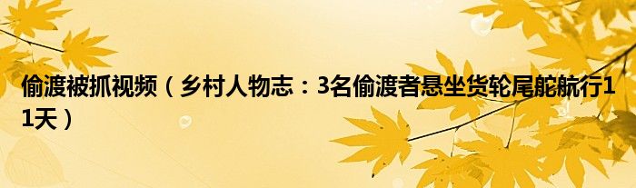 偷渡被抓视频（乡村人物志：3名偷渡者悬坐货轮尾舵航行11天）