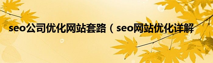 seo公司优化网站套路（seo网站优化详解