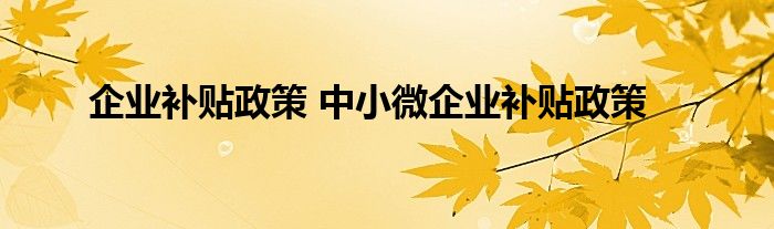 企业补贴政策 中小微企业补贴政策