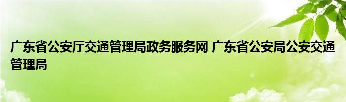 广东省公安厅交通管理局政务服务网 广东省公安局公安交通管理局