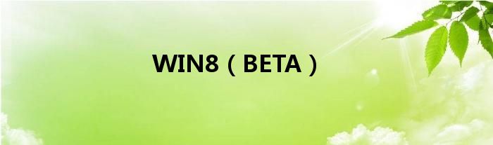 WIN8（BETA）