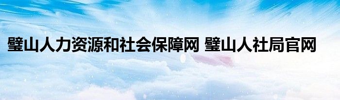 璧山人力资源和社会保障网 璧山人社局官网