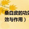 桑白皮的功效与作用及食用方法 桑 白皮的功效与作用）