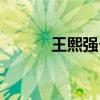 王熙强个人简历资料（王熙强）