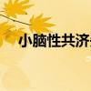小脑性共济失调治疗（小脑性共济失调）