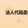 法人代码是什么码哪里查询（法人代码）
