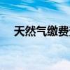 天然气缴费查询电话（天然气缴费查询）