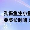 孔雀鱼生小鱼多长时间生一个（孔雀鱼生小鱼要多长时间）