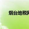 烟台地税网上申报系统 烟台报税网站