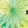 魏妮娅 魏妮妮简介