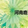 河南鹿邑县（河南鹿邑县地图）