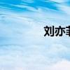 刘亦菲 干爹（刘亦菲 干爹）