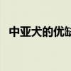中亚犬的优缺点及性格（中亚犬的优缺点）