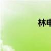 林申个人资料 林申 百科
