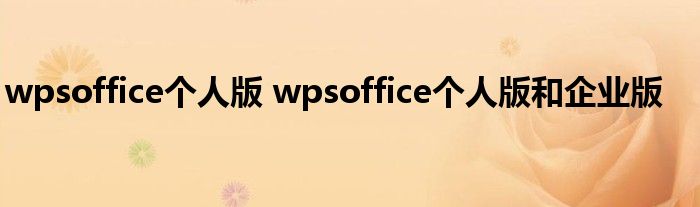 wpsoffice个人版 wpsoffice个人版和企业版