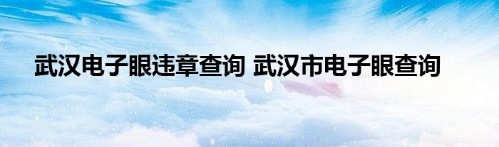 武汉电子眼违章查询 武汉市电子眼查询