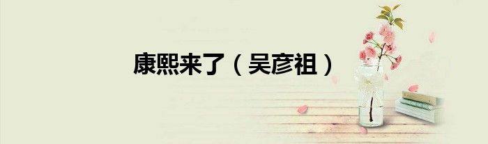 康熙来了（吴彦祖）