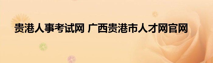 贵港人事考试网 广西贵港市人才网官网