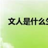 文人是什么生肖 文人是什么生肖第334期