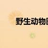 野生动物医院（野生动物医院叫什么