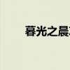 暮光之晨攻略（暮光之晨攻略大全）