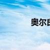 奥尔良烤翅机（奥尔良 烤翅