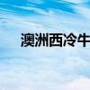 澳洲西冷牛排 澳洲西冷牛排是进口的吗