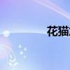 花猫加速器（花禾加速器）