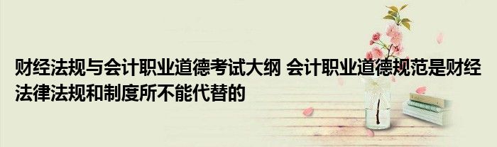 财经法规与会计职业道德考试大纲 会计职业道德规范是财经法律法规和制度所不能代替的