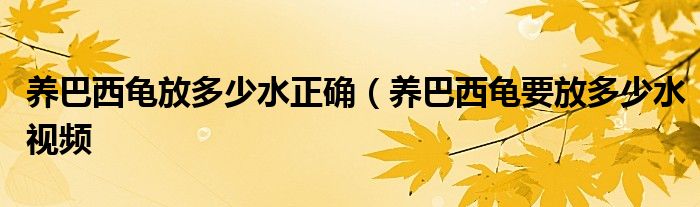 养巴西龟放多少水正确（养巴西龟要放多少水视频