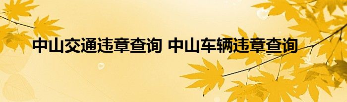 中山交通违章查询 中山车辆违章查询