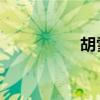 胡雪莹 胡雪莹怎么样）