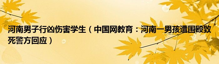 河南男子行凶伤害学生（中国网教育：河南一男孩遭围殴致死警方回应）