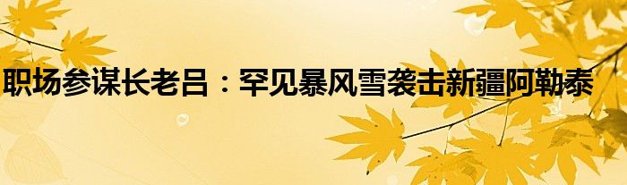 职场参谋长老吕：罕见暴风雪袭击新疆阿勒泰