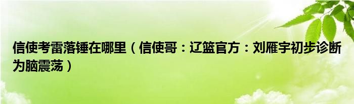 信使考雷落锤在哪里（信使哥：辽篮官方：刘雁宇初步诊断为脑震荡）