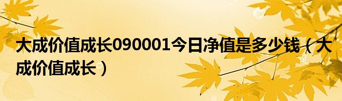 大成价值成长090001今日净值是多少钱（大成价值成长）