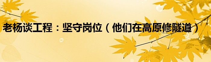 老杨谈工程：坚守岗位（他们在高原修隧道）