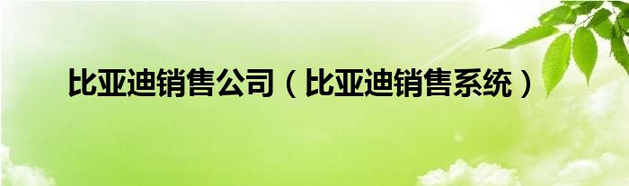 比亚迪销售公司（比亚迪销售系统）
