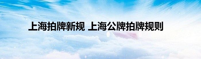 上海拍牌新规 上海公牌拍牌规则