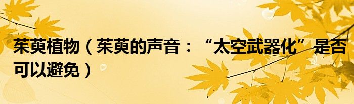 茱萸植物（茱萸的声音：“太空武器化”是否可以避免）