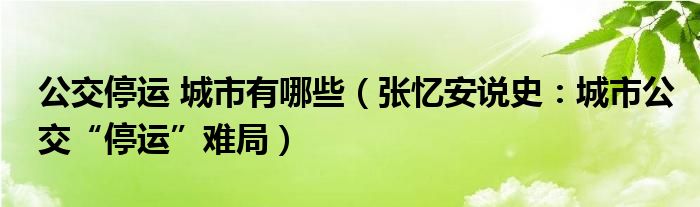 公交停运 城市有哪些（张忆安说史：城市公交“停运”难局）