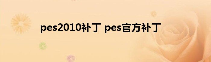 pes2010补丁 pes官方补丁