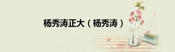 杨秀涛正大（杨秀涛）