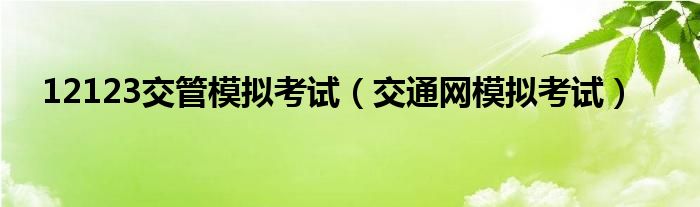 12123交管模拟考试（交通网模拟考试）