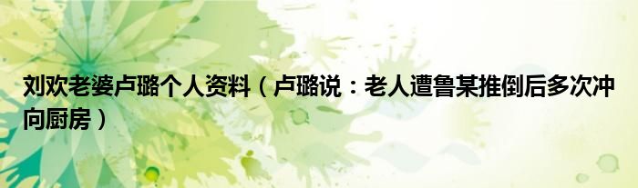 刘欢老婆卢璐个人资料（卢璐说：老人遭鲁某推倒后多次冲向厨房）