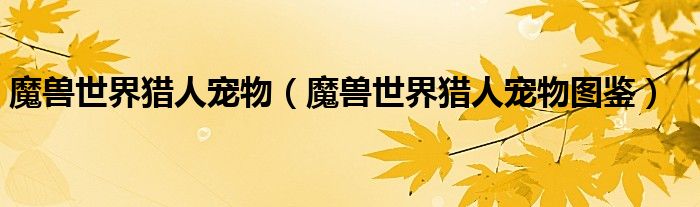 魔兽世界猎人宠物（魔兽世界猎人宠物图鉴）
