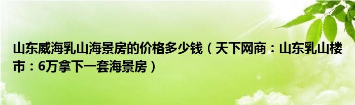 山东威海乳山海景房的价格多少钱（天下网商：山东乳山楼市：6万拿下一套海景房）